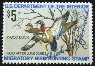 Us Duck Stamp 1974 $5 Wood Duck Scott Rw41