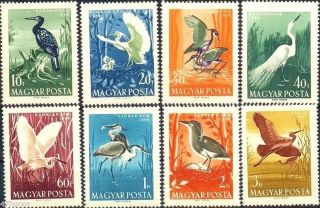 Hungary 1959,  Water Birds,  Stamp Set Of 8 Mnh