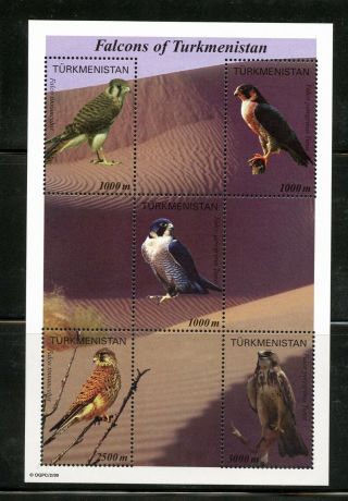 T450 Turkmenistan 2000 Birds Falcons Sheet Mnh