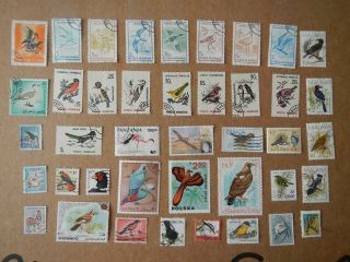 Thematic - Birds On Stamps X 40 From Around The World