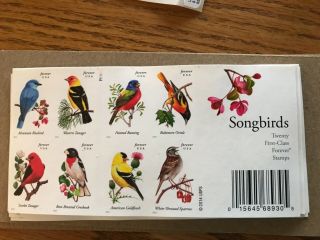 Us 4882 4891d Songbirds Imperf Ndc Booklet 20 Mnh 2014