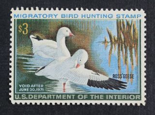 Ckstamps: Us Federal Duck Stamps Scott Rw37 $3 Nh Og