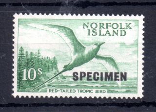 Norfolk Island 1961 10/ - Specimen Lhm Sg36 Ws11346
