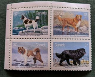 Stamps Canada 1988 Canadian Dogs Block Of 4 Mnh