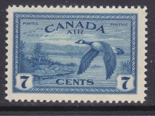 Canada C9 Mnh 1946 7c Deep Blue Canada Geese In Flight Airmail Issue Very Fine