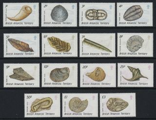 B.  A.  T.  1990 Fossils Set Of 15 - Unmounted