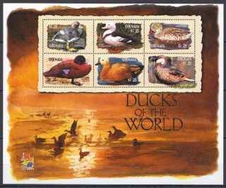 X926 2000 Grenada Fauna Birds Ducks Of The World 1kb Mnh Stamps