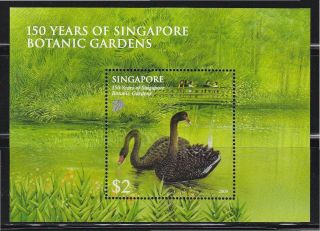 Singapore 2009 150 Years Of Botanic Garden (black Swan) Souvenir Sheet Stamp Mnh