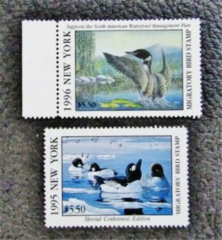 Nystamps Us York Duck Stamp 11 12 Og Nh $23