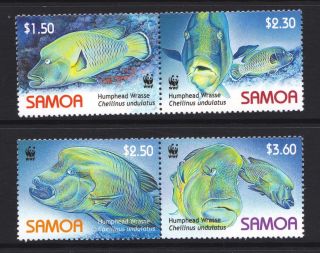 Samoa 2006 Wwf Endangered Species Humphead Wrasse Fish - Mnh Se - Tenants - (187)