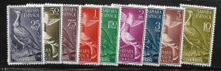 Spanish Sahara - 1961 - Never Hinged - Set Of 9 Birds - Scott :105 - 113