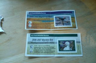 2004 & 2006 Us Fish & Wildlife Migratory Bird Stamp Federal Duck Stamps