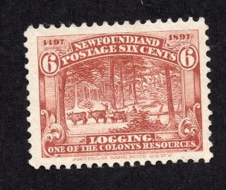 Newfoundland 66 6 Cent Red Brown Logging Discovery Of Newfoundland No Gum