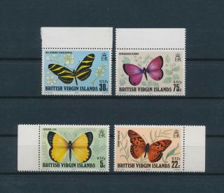 Lk79830 British Virgin Islands Insects Bugs Flora Butterflies Edges Mnh