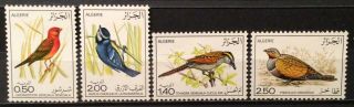 World Stamps Algeria 1976 Set 4 Stamps Algerian Birds Stamps (b5 - 20c)