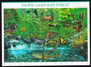 Us Nature 2000 Scott 3378 Pacific Coast Rain Forest 10 Mnhxf 33c Stamp Sheet Nip