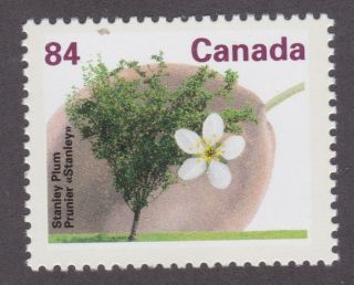 Canada 1991 1371 Fruit Tree Definitive: Stanley Plum - Mnh