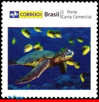 3258 - 04 Brazil 2013 Fauna,  Turtle,  Personalized Mnh