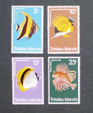 Tokelau 1975 Fish Marine Life Mnh