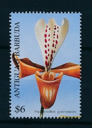 [97713] Antigua & Barbuda 1997 Flora Flowers Orchids From Sheet Mnh