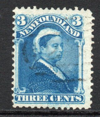 Newfoundland 3 Cent Stamp C1896 - 98 Perf 12