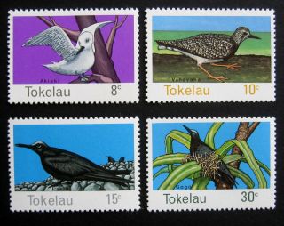 Tokelau 1977 Birds.  Full Set Of 4 Stamps.  Nh
