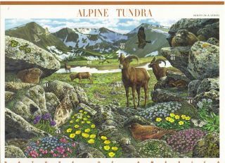 Scott 4198 Us Souvenir Sheet Alpine Tundra 41 Cent Mnh