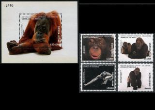 Sierra Leone 2017 National Geographic Fauna Monkeys Set,  S/s Mnh
