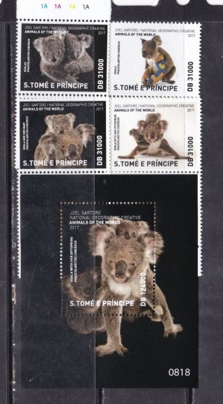 Sao Tome And Principe 2017 National Geographic Fauna Koala Set,  S/s Mnh