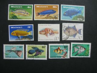 Fish Thematic Stamps Group Of 10