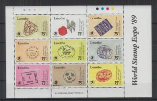 T695.  Lesotho - Mnh - Art - World Stamps Expo 
