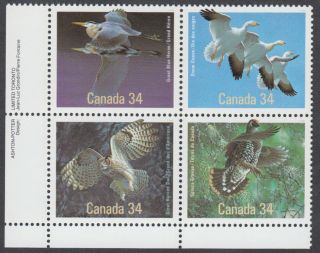 Canada - 1098a Birds Of Canada Wildlife Plate Block - Mnh