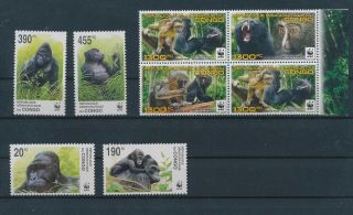 Lk74057 Congo Gorilla Monkey Wildlife Fine Lot Mnh