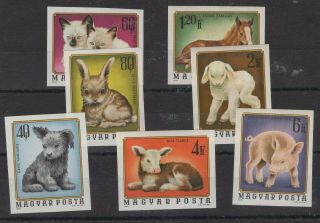 Hungary,  Magyar,  Stamps,  1974,  Mi.  3007 - 3013 B.