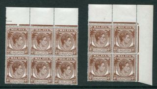 1948/52 Singapore Kgvi 10 X 4c Stamps (perfs18) In Multiples Mnh U/m