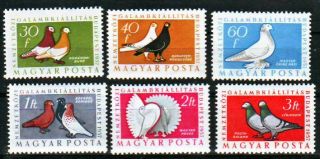 Hungary - 1957.  International Pigeon Exhibition - Birds - Mnh