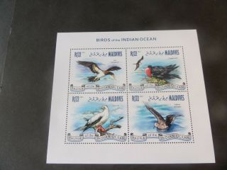 Maldives 2013 Birds Of Indian Ocean Pelican Sheetlet Mnh Um Unmounted