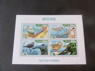 Maldives 2013 Water Birds Sheetlet Mnh Um Unmounted