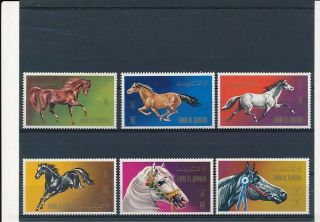 D278081 Horses Mnh Umm Al Qiwain