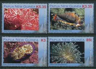 2008 Papua Guinea Marine Biodiversity Set Of 4 Fine Mnh