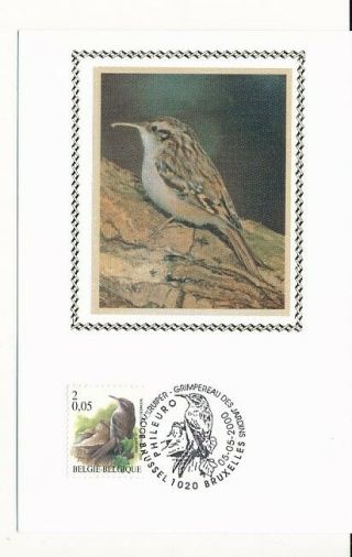 D005634 Buzin Birds Boomkruiper Silk Cachet Maximum Card Belgium
