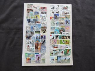 Thematics - Birds - Various And Stamps (13)