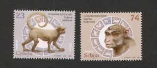 Serbia - China - Mnh Set - Chinese Year,  Monkey,  China,  Fauna,  Lunar Horoscope - 2016