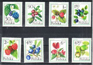 Poland 1977 Forest Flowers Set Mnh Vf
