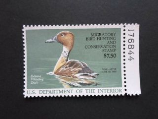 1986 Us Federal Duck Stamp - Fulvous Whistling Duck - Cat Rw53 Single Mnh Og