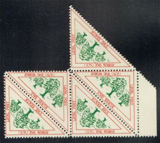 United States Shrub Oak (n.  Y. ) Never Hinged Block Of Local Triangle Stamps