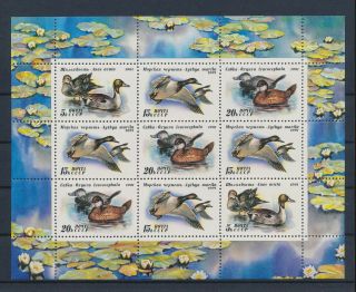 Lk58615 Russia Cccp Ducks Animals Fauna Birds Good Sheet Mnh