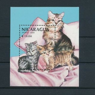D275390 Cats S/s Mnh Nicaragua 1988