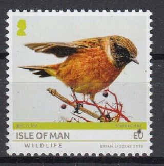 Isle Of Man 2019 Europa Cept.  National Birds.  1 Stamp With Europa Logo Mnh