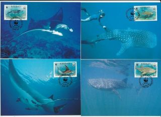 D274573 Whale Shark Manta Ray Wwf Set Of 4 Maxicards Kiribati